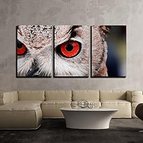 3 Piece Canvas Wall Art - Closeup of an Owl with Red Eyes - Modern Home Art Stretched and Framed Ready to Hang - 16"x24"x3 Panels