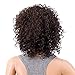 SWACC 12-Inch Short Big Bouffant Curly Wigs for Women Synthetic Heat Resistant Fiber Hair Pieces with Wig Cap (Dark Brown-4#)
