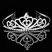 Pixnor Princess Tiara Crown with Comb Wedding Party Children Flower Girl Heart-Shape Crown for Kids Baby Birthday Party Decorations, 2Pack