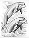 Reeves Dolphins Sketching by Numbers, Medium