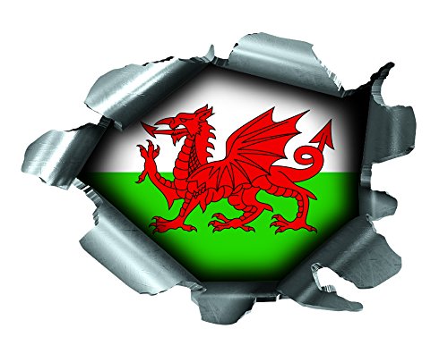 Speed Demons Pride Burst RIP Torn Tear Sticker Graphic SELF Adhesive for Any Surface Including LAPTOPS and Cars - Wales Welsh Flag Football Rugby