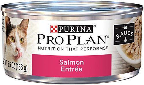 Purina Pro Plan Salmon Entree in Sauce Adult Wet Food - (24) 5.5 oz. Can