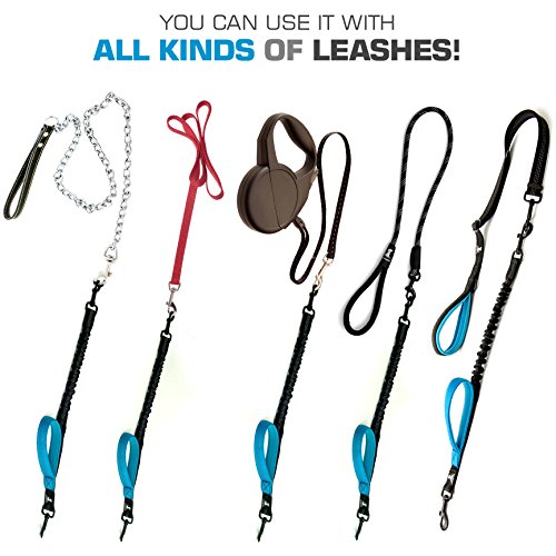 3 in 1 Short Dog Leash - Shock-Absorbing Bungee with Padded Handle that Can Be Used as Elastic Attachment for Your Regular Leash, Control Handle, or Traffic Leash – Suitable for Medium and Large Dogs - Thumbnail 6