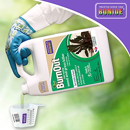Bonide (BND7465) Burnout Concentrate, Fast Acting Weed and Grass