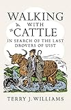 Walking With Cattle: In Search of the Last Drovers of Uist by Terry J. Williams