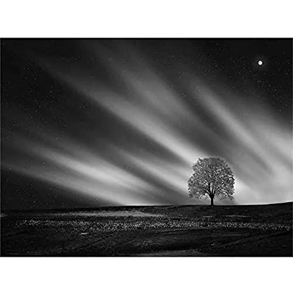 Lone Tree Landscape Aurora Black White Canvas Wall Art Print