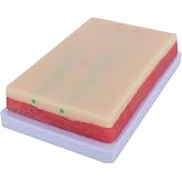 Venipuncture IV Injection Training Pad Model, Silicone Human Skin Suture Training Model, Injection Practice Pad, 4 Veins Imbedded, 3 Skin Layers(7.1" x 4" x 1.1")