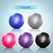 Forbidden Road Exercise Yoga Ball Yoga Balance Stability Swiss Ball Support up to 200 lbs