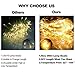 Longans Fairy Curtain Lights, Fun Outdoor Festoon Lighting,8 Modes LED Curtain Strips Icicle String Lights for Bedroom Party Indoor Outdoor Garden Wall Wedding Christmas Xmas Decorations (Warm White)