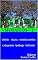 Livro Mosaicos I: vitória - viçosa - estados unidos - cataguases - ipatinga - belo horizonte