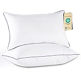 JOLLYVOGUE Pillows Queen Size Set of 2, Medium