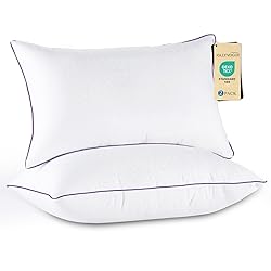 JOLLYVOGUE Pillows Queen Size Set of 2, Medium