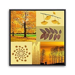 Framed Canvas Wall Art Leaves, Birds, Abstracts Canvas Prints Home Artwork Decoration for Living Room, Bedroom - 16x16 inches