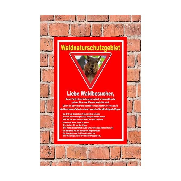 Melis-Folienwerkstatt Schild Wald-Naturschutzgebiet - 30x20cm - BohrlÃ¶cher - 3mm Hartschaum â 20 VAR S00359-203-D – Bild 3