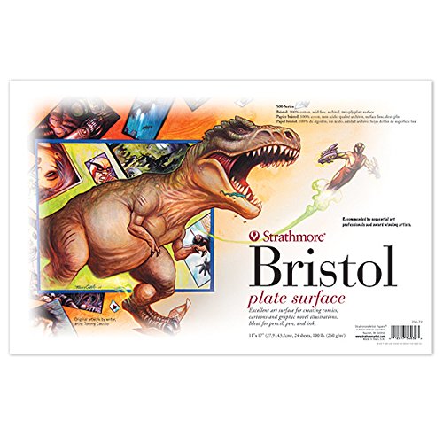 11X17 2 PLY PLATE BRISTOL 24/PACK