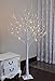 Lightshare 6FT 72L LED Birch Tree,Warm White