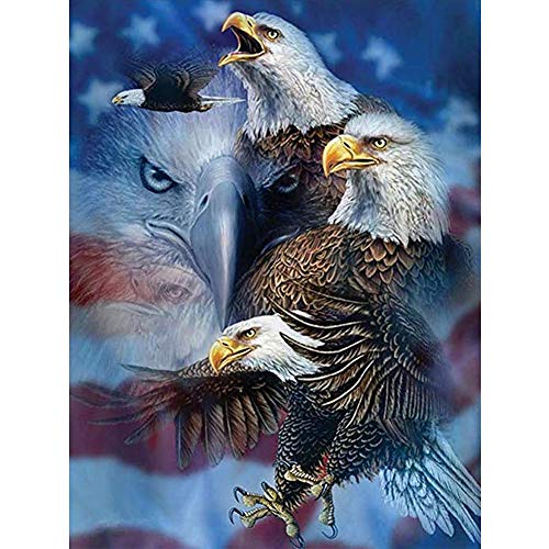 UTHINK 5D Diamond Painting Full Drill, USA Eagle Pattern DIY Diamond Painting by Number Kits, Rhinestone Crystal Drawing Gift for Adults Kids, 16"X12" Art Painting for Home/Room/Office Decoration - Thumbnail 7