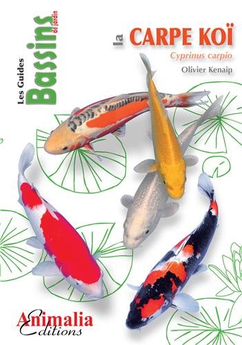 La  carpe koï