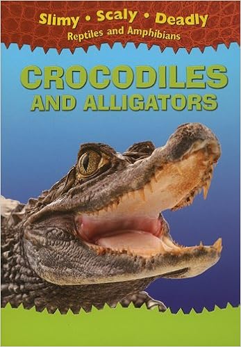 Crocodiles And Alligators Slimy Scaly Deadly Reptiles And Amphibians Harris Tim 9781433934360 Amazon Com Books