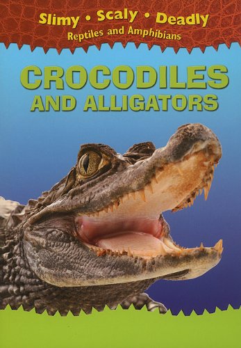 why is a crocodile a reptile and not an amphibian