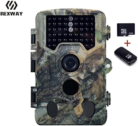 REXWAY Hunting Trail Camera with 16G Card, 2.4’’ LCD Screen 16MP 1080P Infrared Scouting Cameras with Night Vision, IP56 Waterproof 65ft Detection Range Super-Fast Trigger Speed (1080P Black)