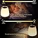 Wake Up Light-Sunrise Digital Alarm Clock, Bedroom Light Therapy-Snooze Function for Heavy Sleeper, Kids, 3 Night Light Brightness & 8 RGB Colors, 7 Nature Sounds & Bluetooth Speaker, Touch Control