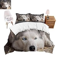 shirlyhome Ultra-Soft Polyester Bed Sheets Lovely Husky Hypoallergenic X-Long Twin