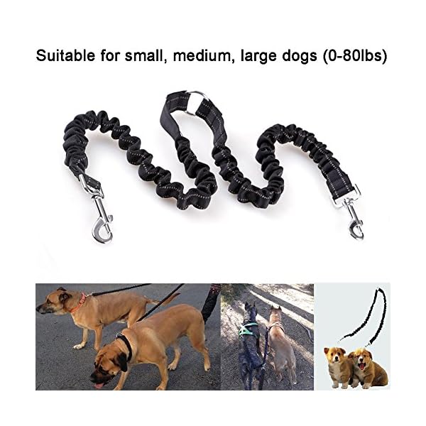MEKEET-Bungee-Double-Dog-Coupler-Lead-No-Tangle-Two-2-Dog-Leash-and-Splitter-for-Walking-Puppy-Small-Medium-Large-dog-Black Bungee Double Dog Lead No Tangle Two 2 Dog Leash Coupler, For Walking Puppy, Small, Medium, Large dog, Adjustable 19.6…
