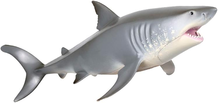 hollow shark toy