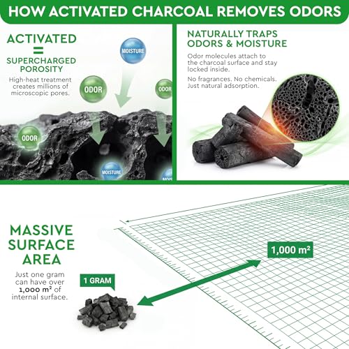 Garage Chemical Smell Won't Go Away? 5 Fixes Before You Give Up 12 Thumbnail 12