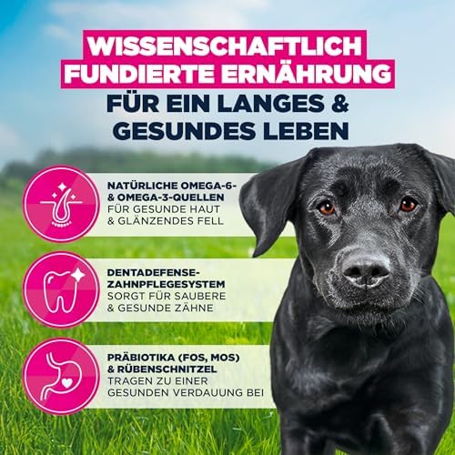 Hundefutter Trocken mit frischem Huhn für große Rassen, Premium Trockenfutter für ausgewachsene Hunde, 15 kg