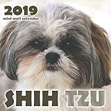 Shih Tzu 2019 Mini Wall Calendar by 