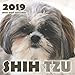 Shih Tzu 2019 Mini Wall Calendar by 