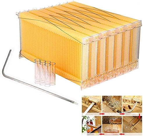 GKPLY Bee 7PCS self-Flow Honey nest bee Frame - self-Flowing bee Box Automatic Honey Plastic nest House and Honey harvesting Tube kit