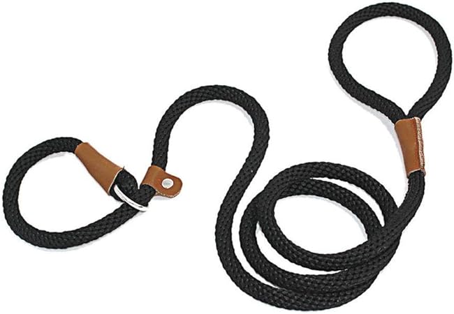 amazon dog slip leads