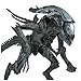 McFarlane - Movie Maniacs 6 - Aliens - Alien Queen Deluxe Boxed Set - Feature Film Figures