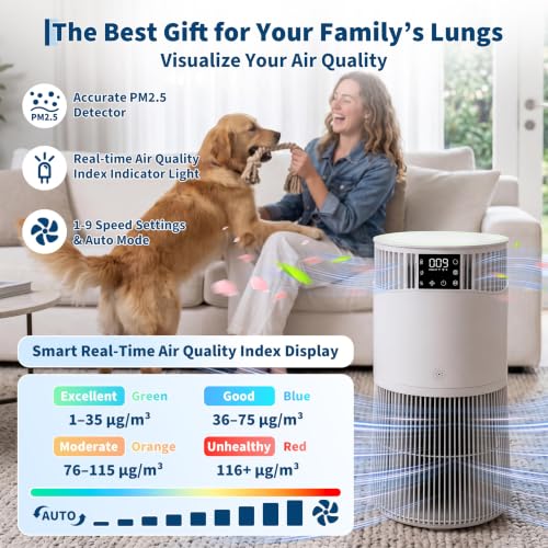 Purificateur d'air avec HEPA + filtre à charbon actif, CADR 490 m³/h pour jusqu'à 50 m², voiture et application, mode veille silencieux 24 dB, affichage PM2,5, aromathérapie, minuterie, sécurité