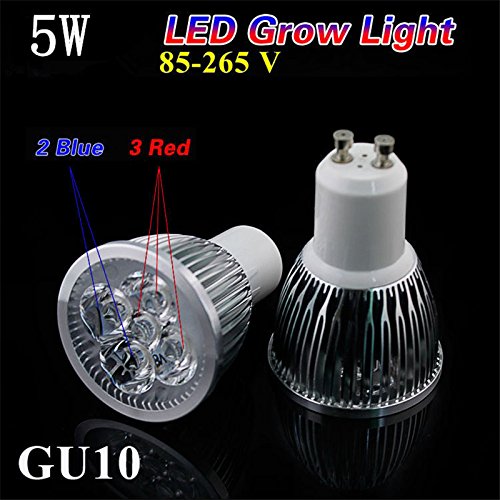 Elitek Hydroponic Plant Grow Led Bulb Gu10 5w Red Blue | Desertcart  Trinidad and Tobago