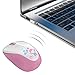 Mini Wireless Mouse(Battery Included), FD V10 2.4G Cute Optical Travel Mouse with Nano Receiver for Kids/ Girls/Ladies Compatible with Notebook/Computer/PC/Laptop/Macbook and Chromebook（Pink）