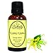Ylang Ylang #3 Essential Oil: 30mL. 100% Pure, Natural & Undiluted Cananga Odorata.