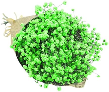 CMrtew Natural Dried Flower, Natural Dried Flower Baby's Breath Gypsophila Home Office Bouquet Decor (Green)
