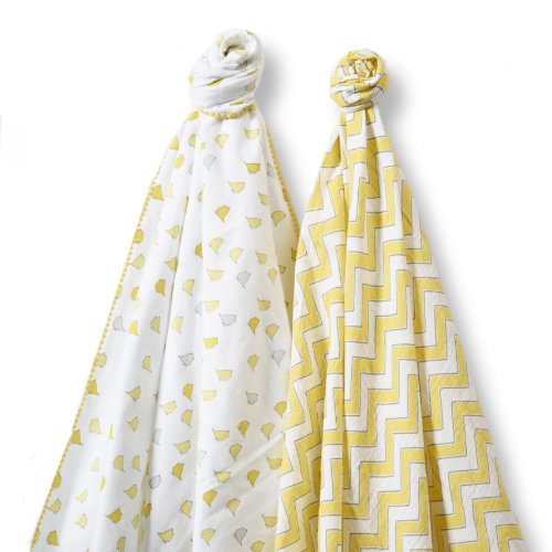 Carter s Precious Firsts Neutral Baby 2Pack Swaddle Blankets Green