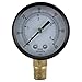 Regulator Replacement Gauge 0-60