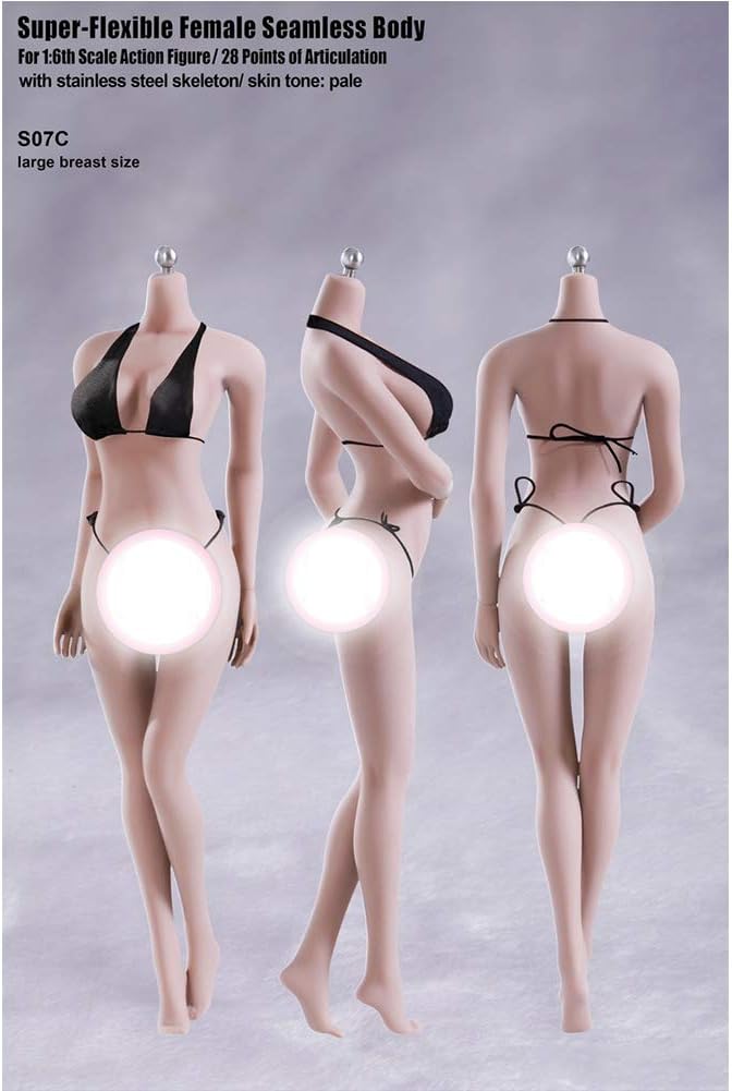 1/6 Headless Steel Bone Plastic Seamless Female Soldier Female Body Body Model White Color Suitable for HT VERYCOOL TTL Hottoy Play PHICEN (S07C)