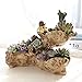 NCYP Artificial Driftwood Planter Resin Flower Pot Sculpture Succulent Air Plants Rustic Declined Y Shape Trunk Stump for Decoration No Plants