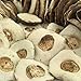 Sewryn Dried Porcini Mushrooms Polish King Boletus (Borowik Szlashetny)Whole caps 50gr/1.76oz