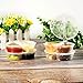 Two-Compartment Condiment Containers Sauce cup 3.5oz with Lid 30 Pack/Bento Take Out Containers snack Portion boxes use for Picnics School Travel home