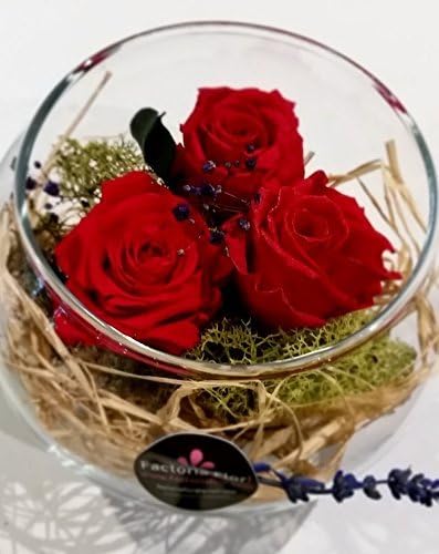 Garden of Three Red Eternal Roses with Moss and Raffia (Customisable)
