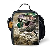 OrrinSports 3D Print Insulated Lunch Bag Totes Keep Hot And Cold For Kids T-Rex