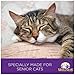 Wellness Complete Health Natural Dry Senior Cat Food, Chicken, 2.9-Pound Bag